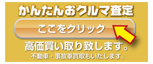 株式会社ディーエルエス 高価買取